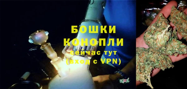 ПСИЛОЦИБИНОВЫЕ ГРИБЫ Лагань
