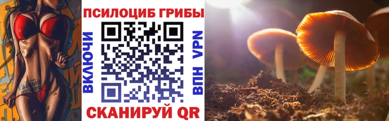 Галлюциногенные грибы ЛСД  Новосокольники 